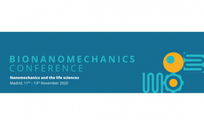 Bionanomechanics Conference 11-13 Novembre 2020