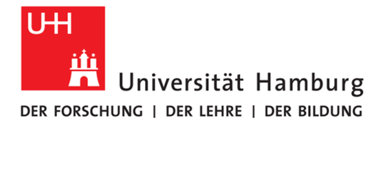 Professorship in Experimental Physics at Hamburg University