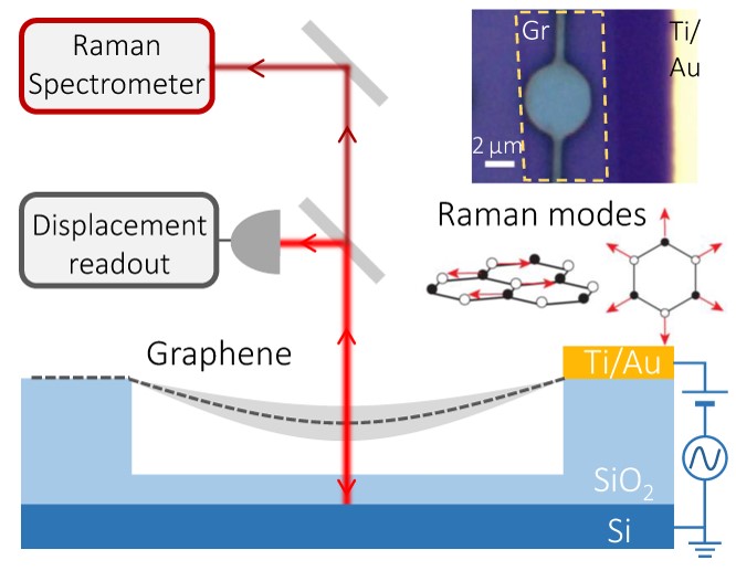 Dynamically-enhanced strain in atomically thin resonators